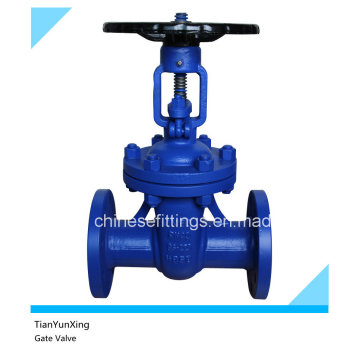 En558-1 DIN Cast Iron Flange Type Gate Valve